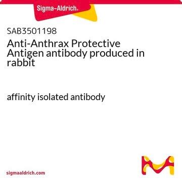 Anthrax Protective Antigen IgG ELISA Kit 